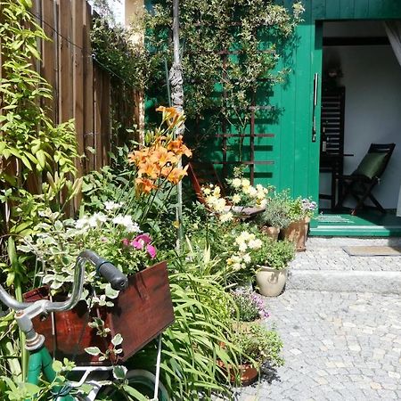 Apartman Horšovský Týn Dış mekan fotoğraf